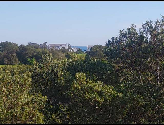 LAND FOR SALE IN SHELLEY POINT